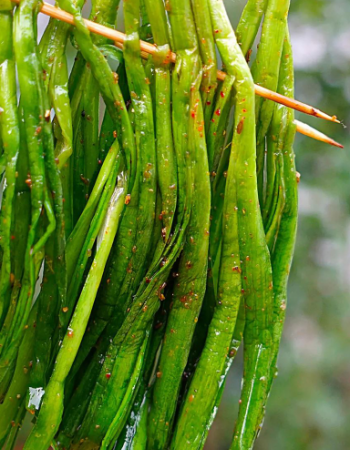 BBQ Chives ( 6 Sticks )
