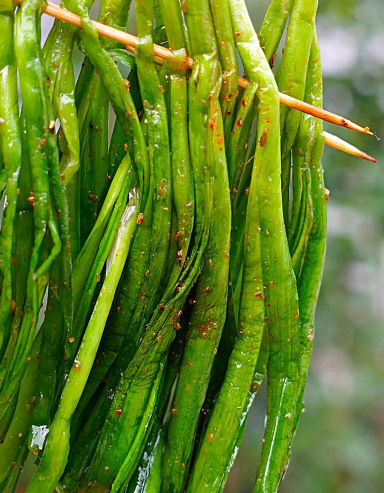 BBQ Chives ( 6 Sticks )