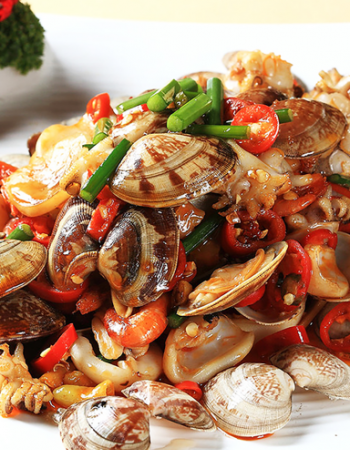 Small Clams & Cuttlefish Baby